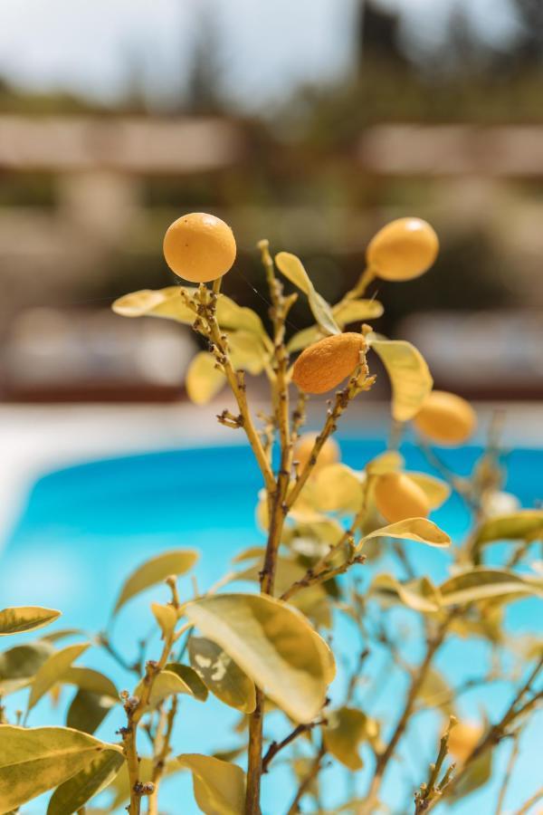 Kis Residence - Adults Only Kneza Exterior foto